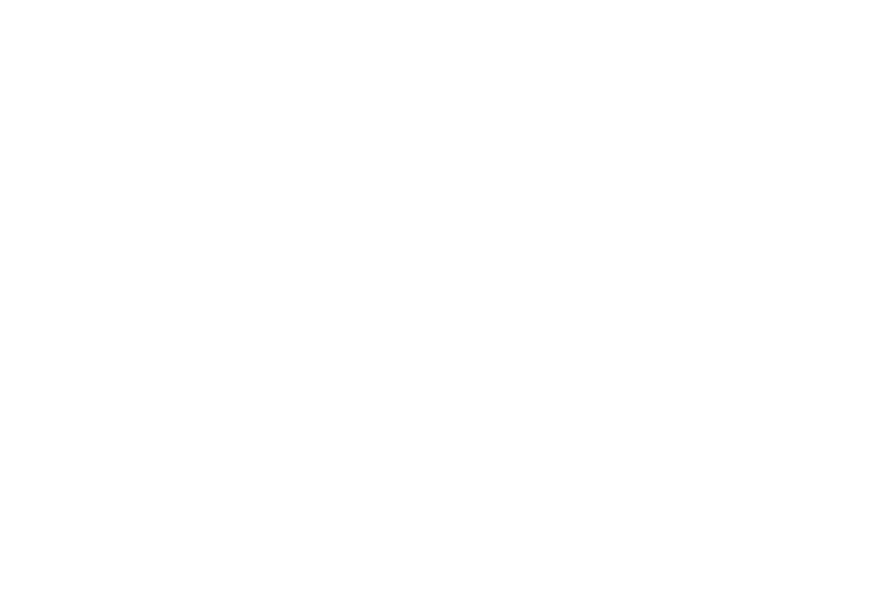 Official Selection — Boston International Film Festival 2022